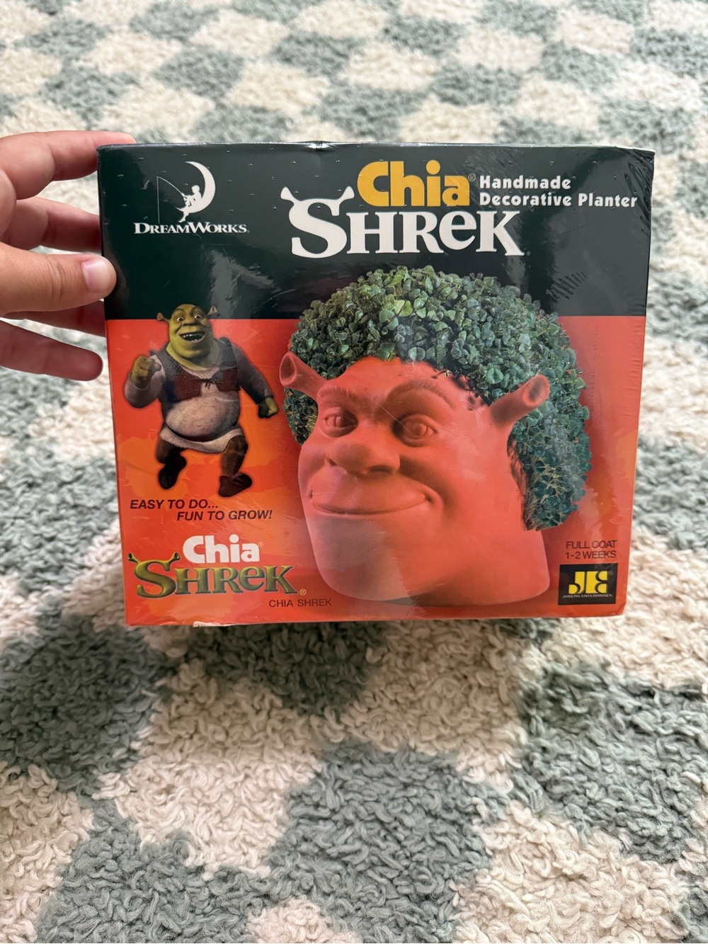 Vtg 2002 Dreamworks Shrek Chia Pet Handmade Decorative Planter New Sealed in Box